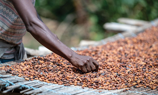 News comment: Fairtrade matters